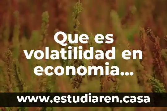 Que es volatilidad en economia ejemplos