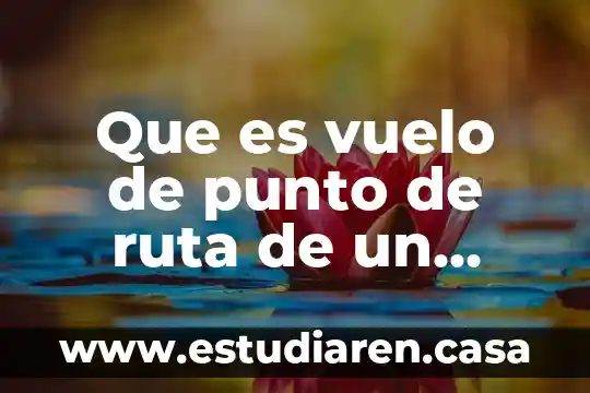 Que es vuelo en ingles 5 Que es vuelo de punto de ruta de un drone