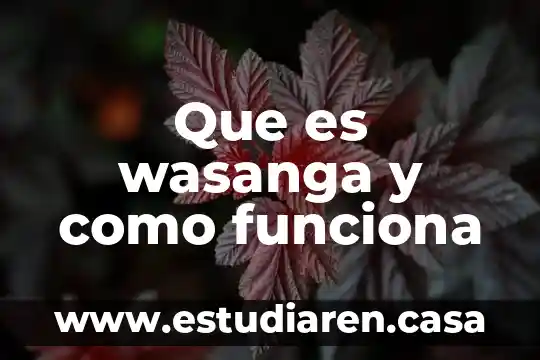 Qué es y cómo funciona la cepal 8 Que es wasanga y como funciona