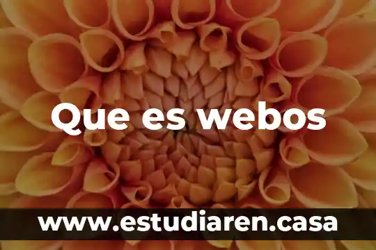 Que es pagar a destajo 5 Que es webos