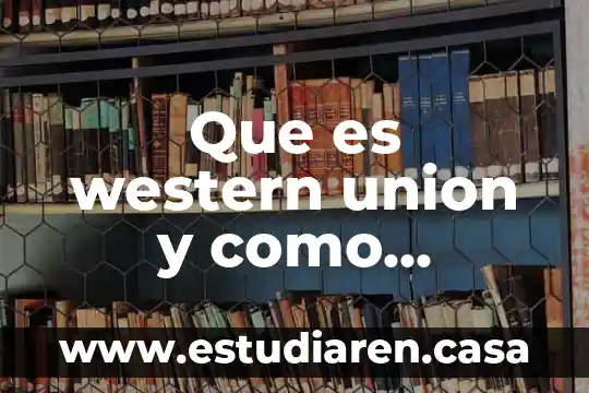 Mandolina que es como funciona resumen 4 Que es western union y como funciona