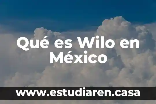 Qué es Wilo en México