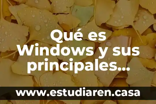 Que es el analisis de componentes principales en algebra lineal 5 Qué es Windows y sus principales características y funciones