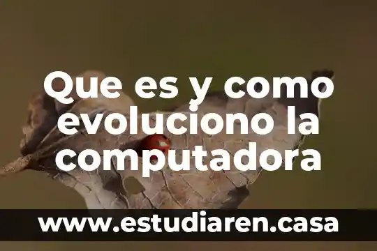Índice de que es la computadora 8 Que es y como evoluciono la computadora