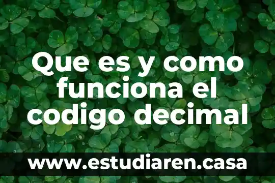 Que es y como funciona el codigo decimal