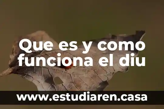 Que es mpls como funciona 3 Que es y como funciona el diu