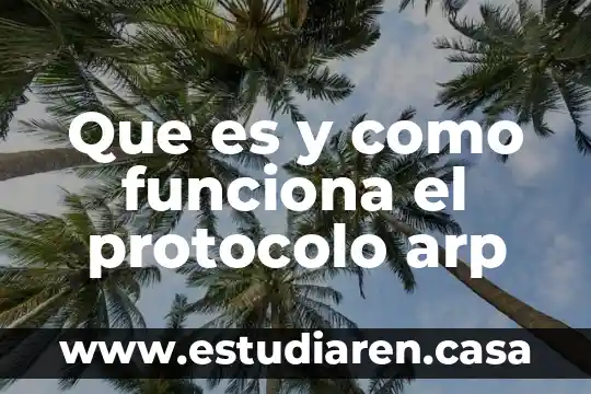 Que es y como funciona el protocolo arp