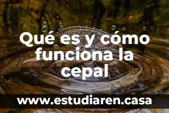 Qué es un ldo y cómo funciona 4 Qué es y cómo funciona la cepal
