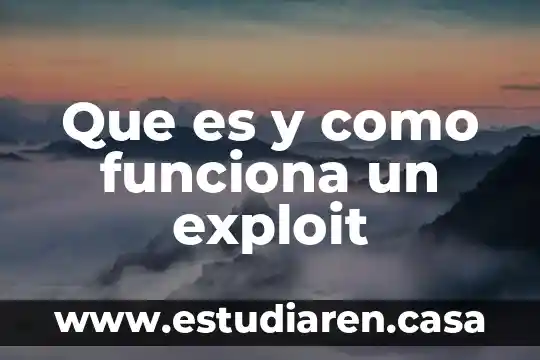Mandolina que es como funciona resumen 5 Que es y como funciona un exploit