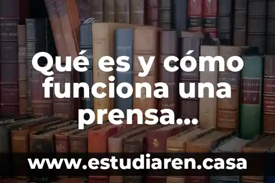 Que es la presion hidraulica con jeringas fisica 8 Qué es y cómo funciona una prensa hidráulica