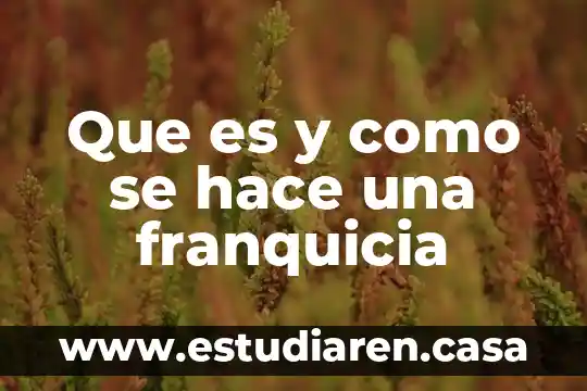 Que es y como se hace una franquicia