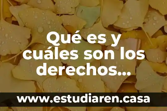 Qué es y cuáles son los derechos humanos