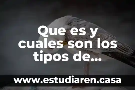 Que es y cuales son los tipos de intereses