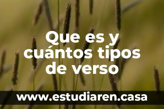 Que es y cuántos tipos de verso