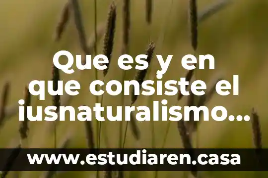 Que es y en que consiste el iusnaturalismo unam