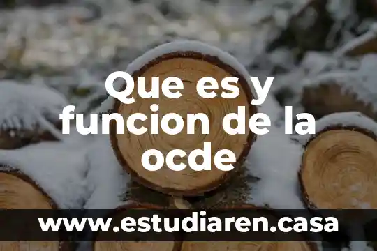 Que es la ocde resumen 6 Que es y funcion de la ocde