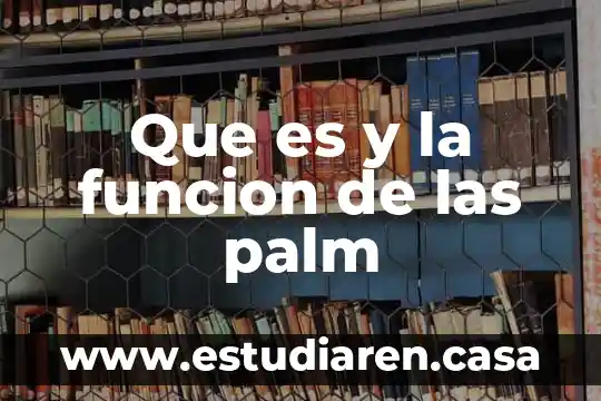 Que es y la funcion de las palm