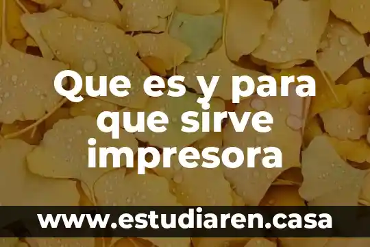 Qué es la unidad de fusor de impresora 4 Que es y para que sirve impresora