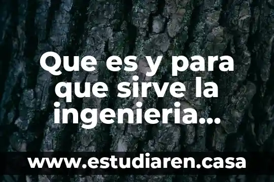 Teoria economica que es el empleo y el desempleo 5 Que es y para que sirve la ingenieria economica