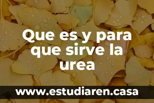 El concepto de calculo que es y para que sirve 4 Que es y para que sirve la urea