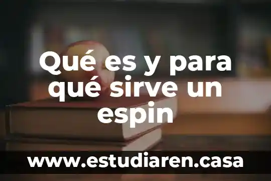 Qué es un cheques y para que sirve 7 Qué es y para qué sirve un espin