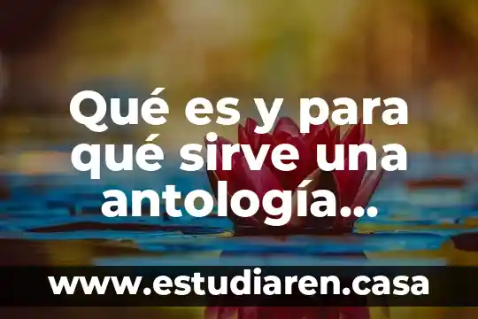 Mapa conceptual que es y sus caracteristicas de una antologia 5 Qué es y para qué sirve una antología literaria
