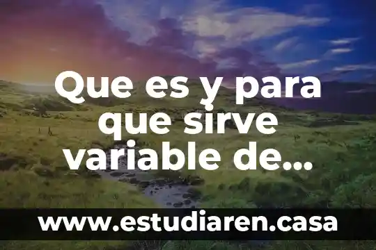 Qué es más rápido Mercado Libre o Amazon 3 Que es y para que sirve variable de mercado