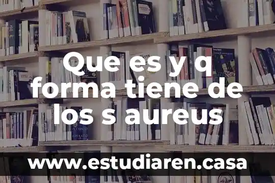 Que es la forma binaria en musica 8 Que es y q forma tiene de los s aureus
