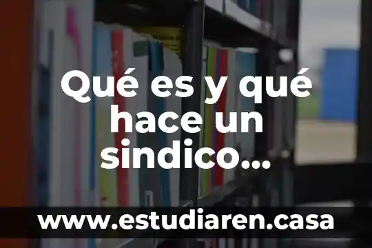 Que es lo que hace un sicologo 3 Qué es y qué hace un sindico municipal