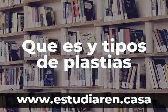 Que es y tipos de plastias