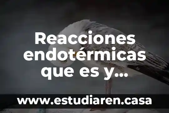 Que es reacciones fisicas 3 Reacciones endotérmicas que es y ejemplos