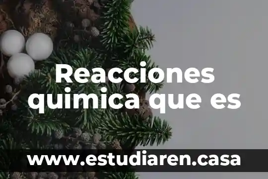 Que es reacciones fisicas 5 Reacciones quimica que es