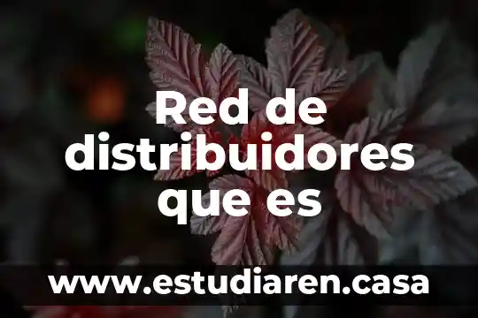 Red de distribuidores que es