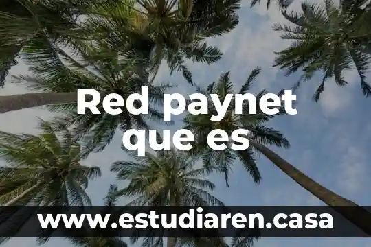 Red paynet que es