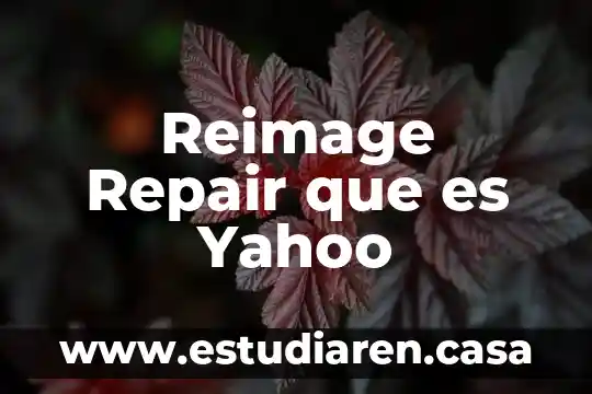 Que es la paradoja hidrostatica de stevin yahoo 3 Reimage Repair que es Yahoo