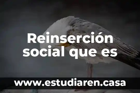 Reinserción social que es