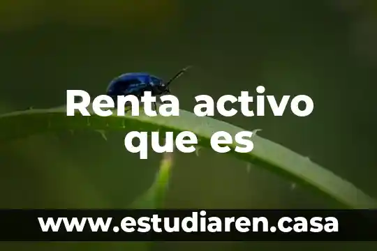 Renta activo que es