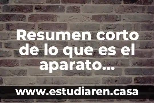 Resumen corto de lo que es el aparato locomotor