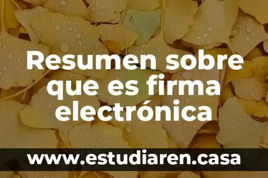 Resumen sobre que es firma electrónica