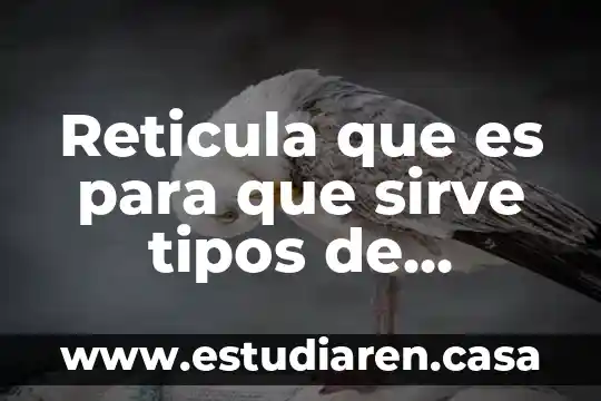 Reticula que es para que sirve tipos de reticula