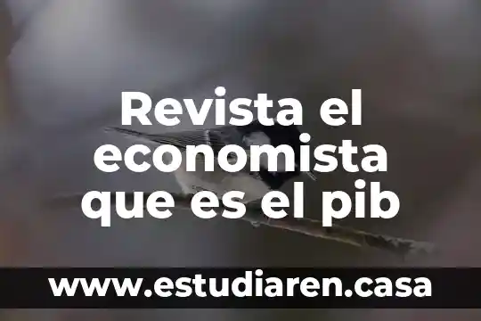 Sergio perez cortes que es la escitura revista version 5 Revista el economista que es el pib