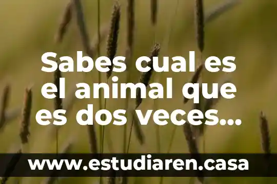 Sabes cual es el animal que es dos veces animal