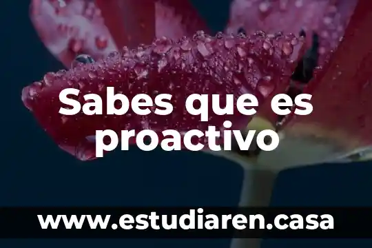 Que es ser proactivo y como saber si lo eres 4 Sabes que es proactivo