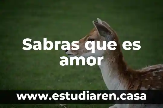 Que es sobredosis de amor 7 Sabras que es amor