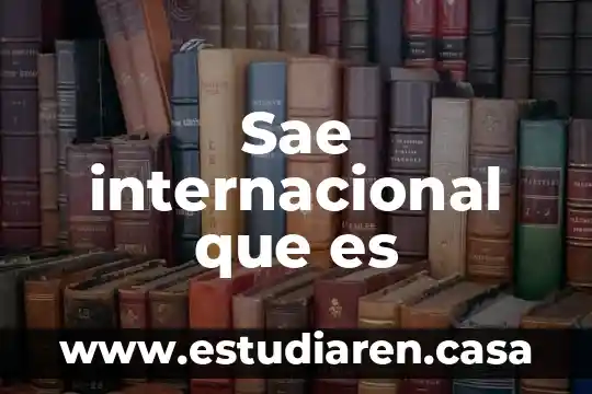 Sae internacional que es
