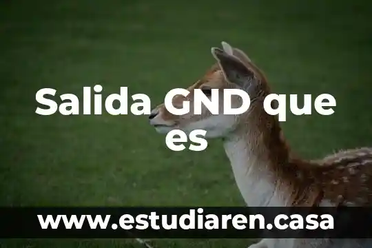 Que es salida spdif 5 Salida GND que es