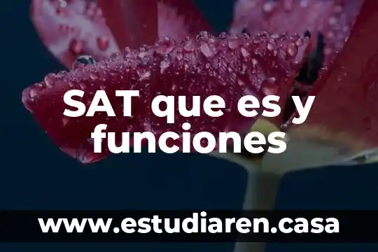 Qué es la cecude y funciones 6 SAT que es y funciones