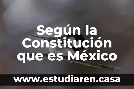 Desarrollo del lenguaje del niño que es según judith meece 4 Según la Constitución que es México