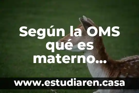 Según la OMS qué es materno infantil