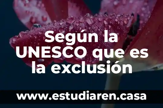 Que es apendicitis segun la oms 7 Según la UNESCO que es la exclusión